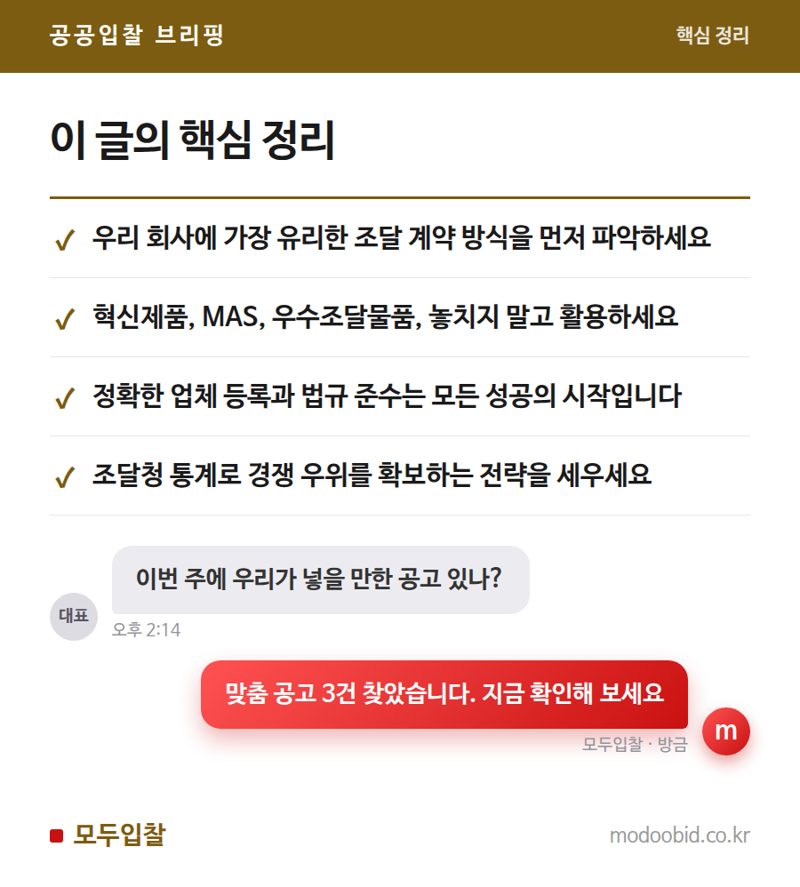 공공조달 시장 완전 정복: 김차장의 실전 체크리스트와 성공 전략 핵심 정리