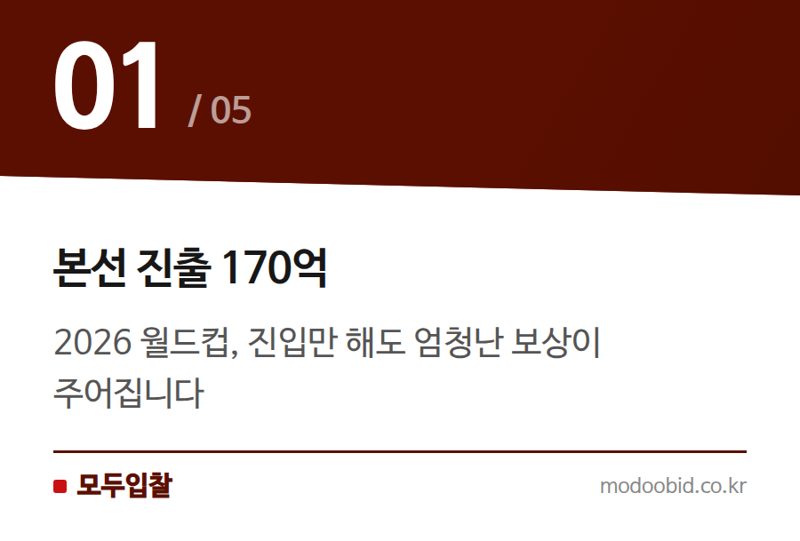 본선 진출 170억 — 공공조달 '진입의 경제학': 월드컵 170억 보장금처럼 우리 회사도 기회 잡을 수 있을까요?