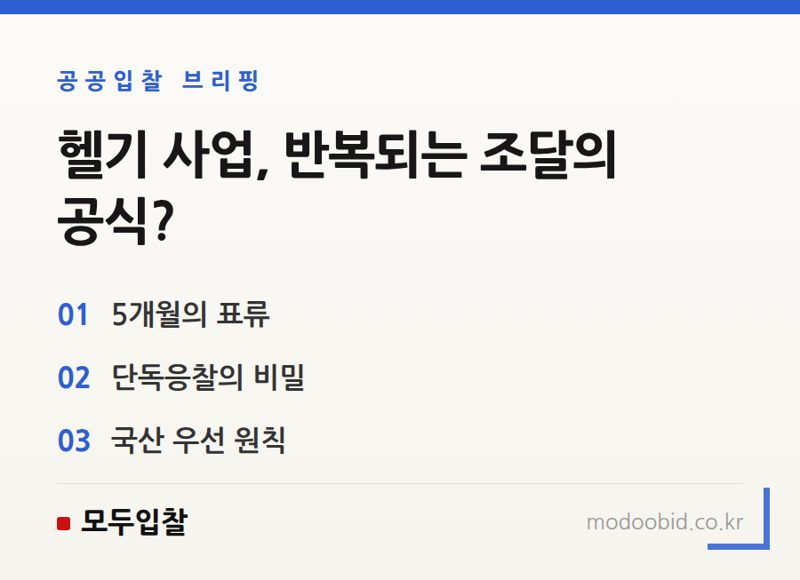 공공헬기 조달, 5개월의 여정 속 숨겨진 이야기: 반복되는 '그때 그 제도' 활용법
