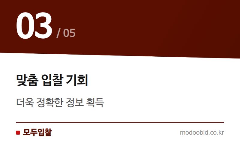 맞춤 입찰 기회 — 나라장터 품명 신설 소식: 새로운 기회를 잡는 방법