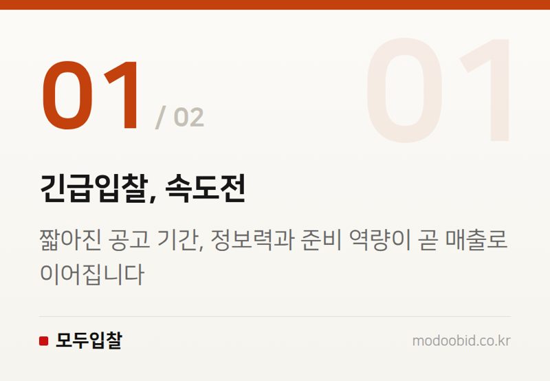 긴급입찰, 속도전 — 완도 해상교량 반복 유찰, 그 끝에 찾아온 기회는 중소기업에게 어떤 의미일까요?