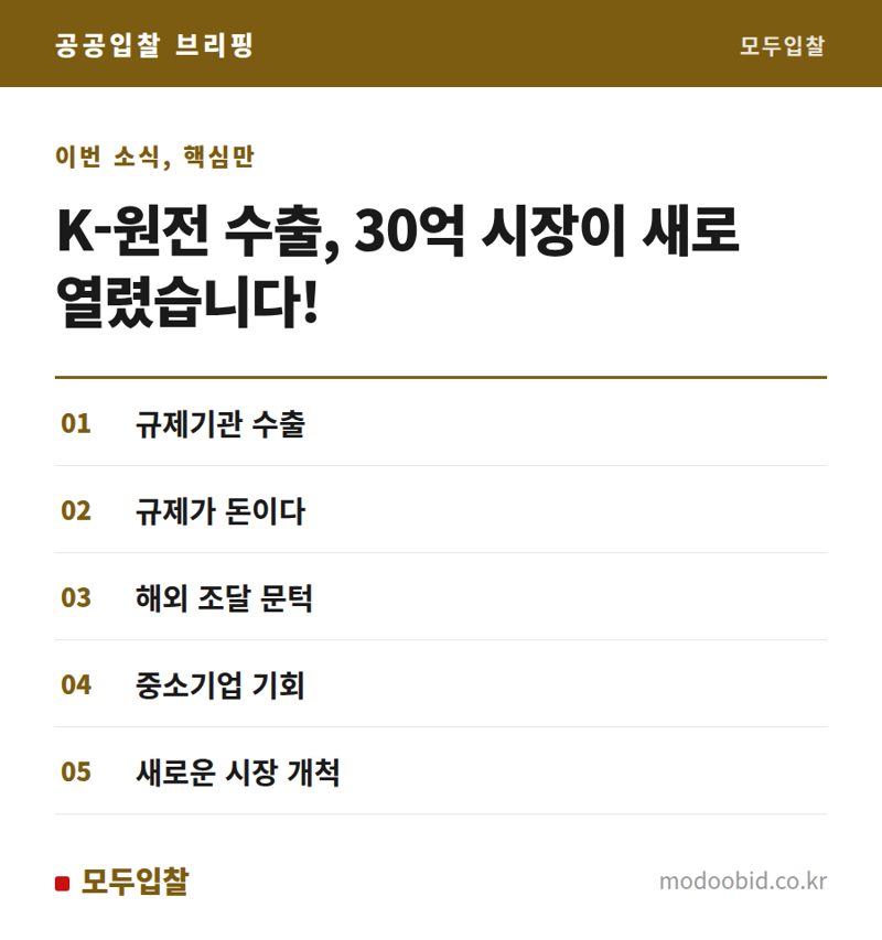 K-원전 수출, 규제 시스템이 새로운 시장이 됩니다! 우리 기업은 어디를 봐야 할까요?