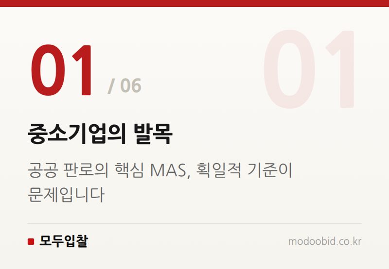 중소기업의 발목 — 조달청 MAS 규격 삭제: 땀 흘린 중소기업 제품이 사라지는 황당한 현실과 대안