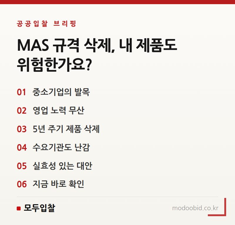 조달청 MAS 규격 삭제: 땀 흘린 중소기업 제품이 사라지는 황당한 현실과 대안