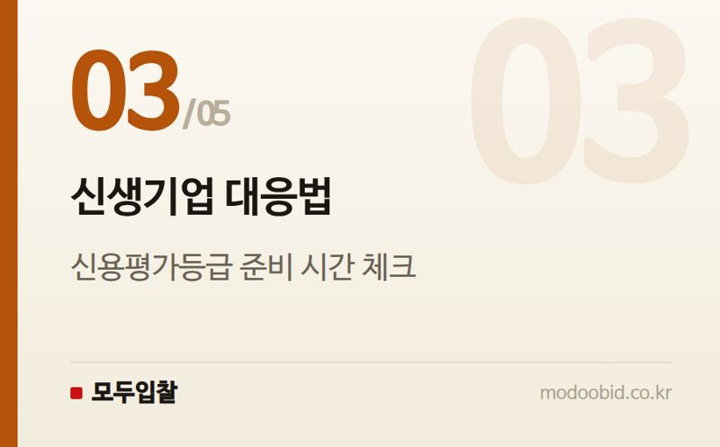 신생기업 대응법 — 경영상태 점수, 재무비율과 신용평가 중 뭐가 유리할까