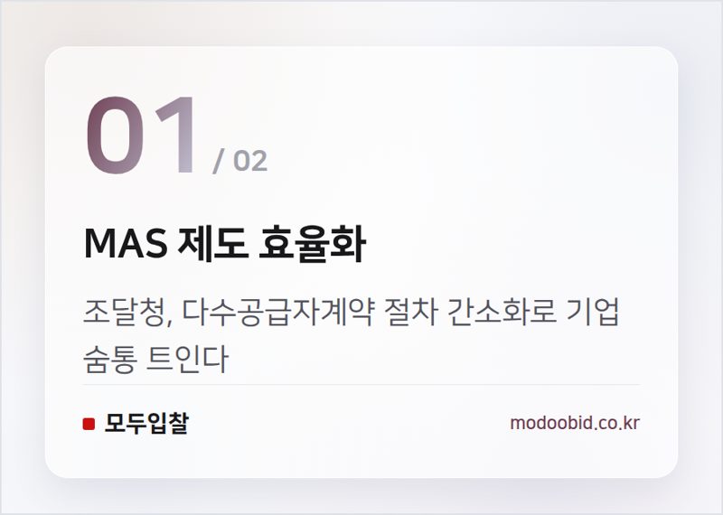 MAS 제도 효율화 — 공공조달 MAS 개편 방송장비 기업, 매출과 수익 늘릴 핵심 전략